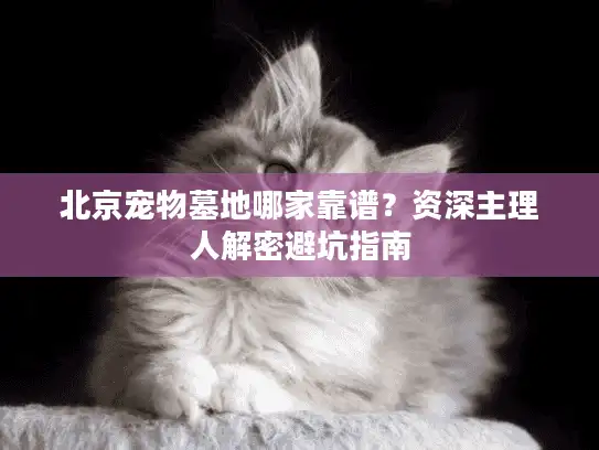 北京宠物墓地哪家靠谱?资深主理人解密避坑指南 北京宠物墓地哪家靠谱?资深主理人解密避坑指南