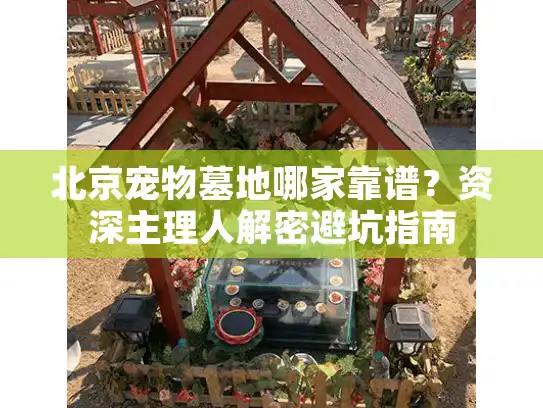 北京宠物墓地哪家靠谱?资深主理人解密避坑指南 北京宠物墓地哪家靠谱?资深主理人解密避坑指南