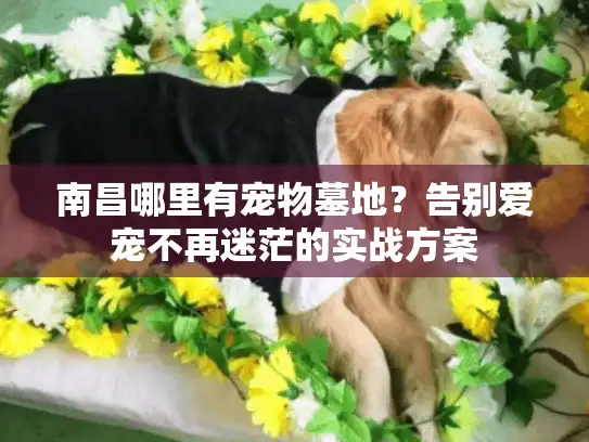 南昌哪里有宠物墓地？告别爱宠不再迷茫的实战方案