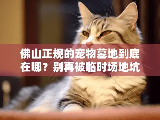 佛山正规的宠物墓地到底在哪？别再被临时场地坑了！