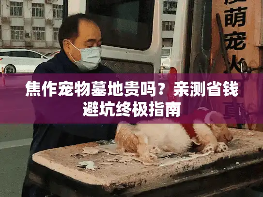 焦作宠物墓地贵吗?亲测省钱避坑终极指南 焦作宠物墓地贵吗?亲测省钱避坑终极指南