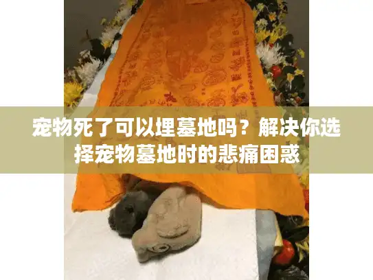 宠物死了可以埋墓地吗?解决你选择宠物墓地时的悲痛困惑 宠物死了可以埋墓地吗?解决你选择宠物墓地时的悲痛困惑