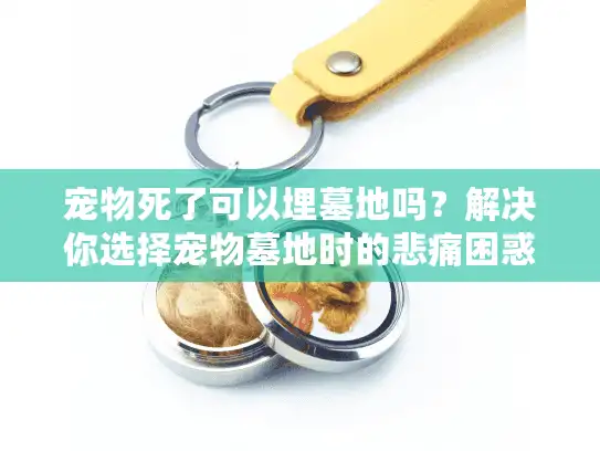 宠物死了可以埋墓地吗?解决你选择宠物墓地时的悲痛困惑 宠物死了可以埋墓地吗?解决你选择宠物墓地时的悲痛困惑