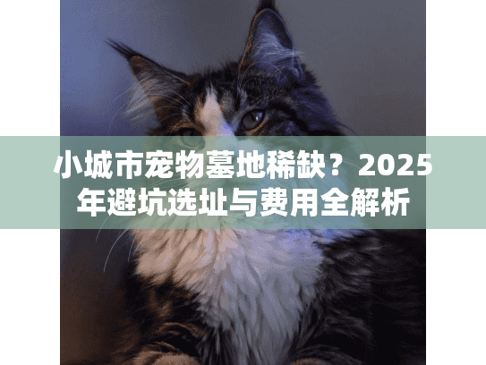 小城市宠物墓地稀缺？2025年避坑选址与费用全解析
