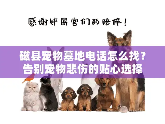 磁县宠物墓地电话怎么找?告别宠物悲伤的贴心选择 磁县宠物墓地电话怎么找?告别宠物悲伤的贴心选择