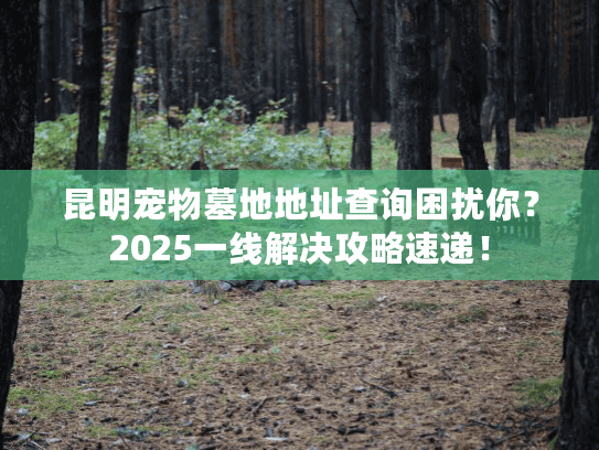 昆明宠物墓地地址查询困扰你?2025一线解决攻略速递! 昆明宠物墓地地址查询困扰你?2025一线解决攻略速递!