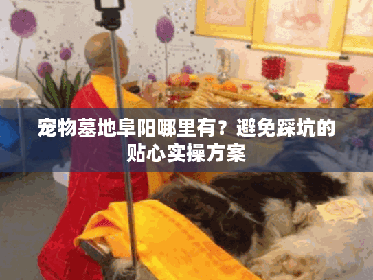 宠物墓地阜阳哪里有?避免踩坑的贴心实操方案 宠物墓地阜阳哪里有?避免踩坑的贴心实操方案