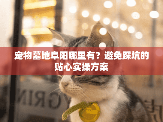 宠物墓地阜阳哪里有?避免踩坑的贴心实操方案 宠物墓地阜阳哪里有?避免踩坑的贴心实操方案