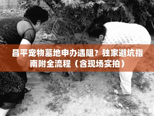 昌平宠物墓地申办遇阻？独家避坑指南附全流程（含现场实拍）
