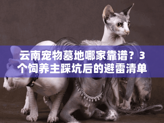 云南宠物墓地哪家靠谱？3个饲养主踩坑后的避雷清单