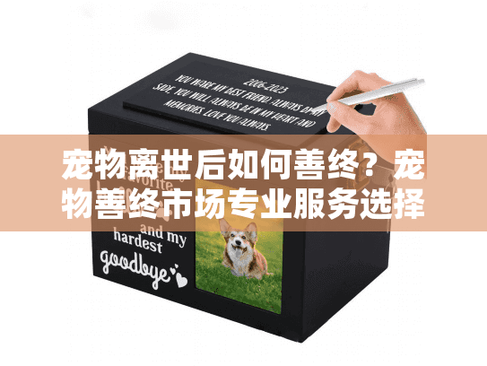 宠物离世后如何善终？宠物善终市场专业服务选择指南