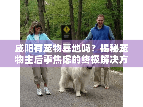 咸阳有宠物墓地吗？揭秘宠物主后事焦虑的终极解决方案