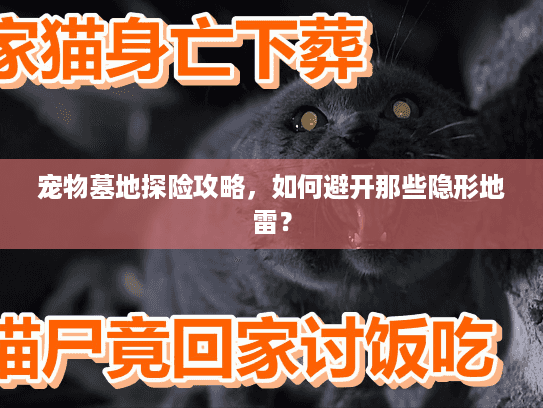 宠物墓地探险攻略，如何避开那些隐形地雷？