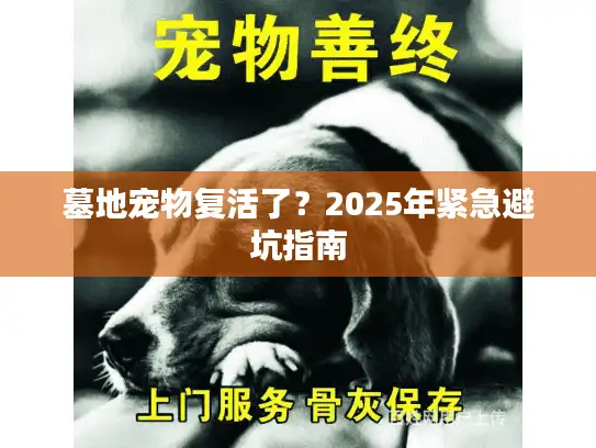 墓地宠物复活了？2025年紧急避坑指南
