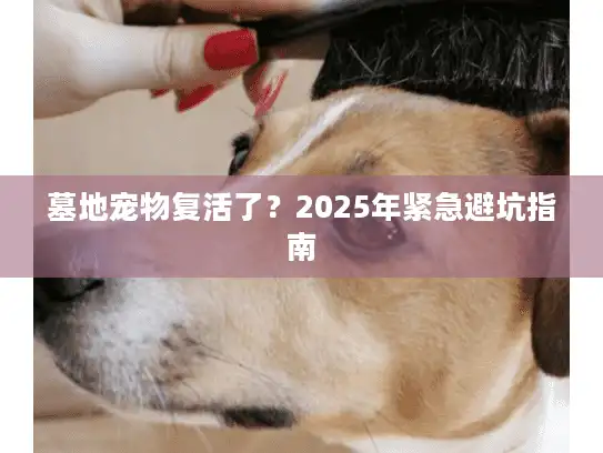 墓地宠物复活了？2025年紧急避坑指南