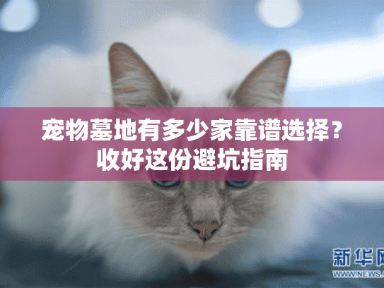 宠物墓地有多少家靠谱选择？收好这份避坑指南