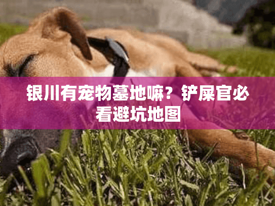 银川有宠物墓地嘛？铲屎官必看避坑地图
