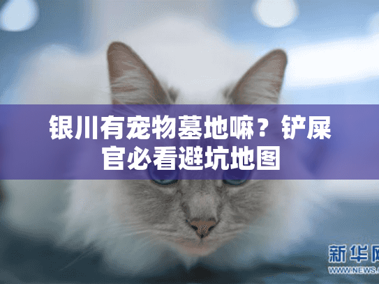 银川有宠物墓地嘛？铲屎官必看避坑地图