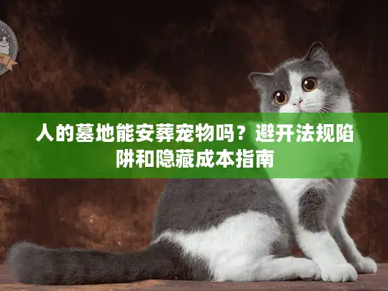 人的墓地能安葬宠物吗？避开法规陷阱和隐藏成本指南