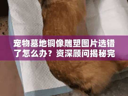 宠物墓地铜像雕塑图片选错了怎么办？资深顾问揭秘完美服务挑选秘诀！