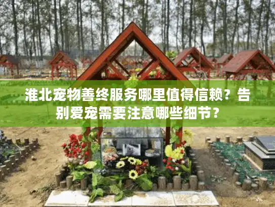 淮北宠物善终服务哪里值得信赖？告别爱宠需要注意哪些细节？