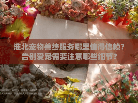 淮北宠物善终服务哪里值得信赖？告别爱宠需要注意哪些细节？