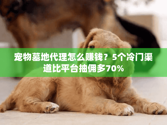 宠物墓地代理怎么赚钱？5个冷门渠道比平台抽佣多70%