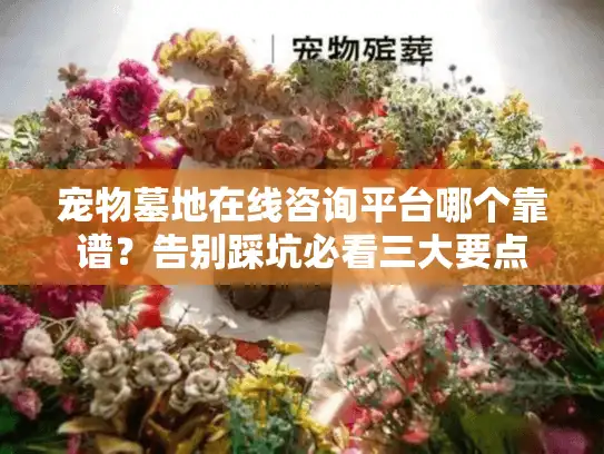 宠物墓地在线咨询平台哪个靠谱？告别踩坑必看三大要点