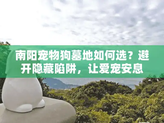 南阳宠物狗墓地如何选？避开隐藏陷阱，让爱宠安息无忧