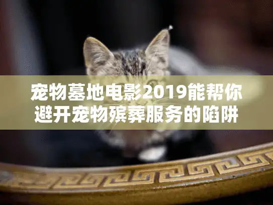 宠物墓地电影2019能帮你避开宠物殡葬服务的陷阱吗? 宠物墓地电影2019能帮你避开宠物殡葬服务的陷阱吗?