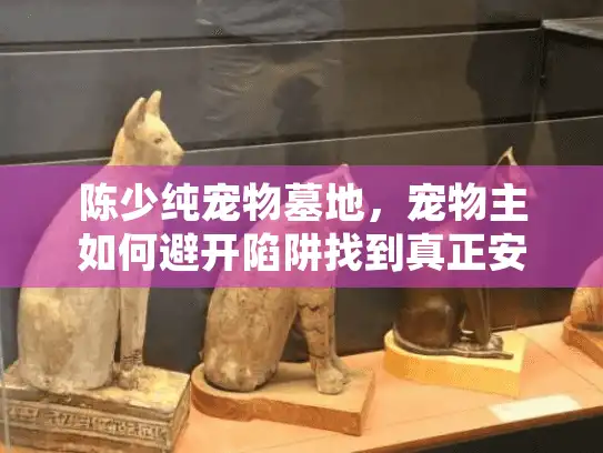 陈少纯宠物墓地，宠物主如何避开陷阱找到真正安心的归宿？