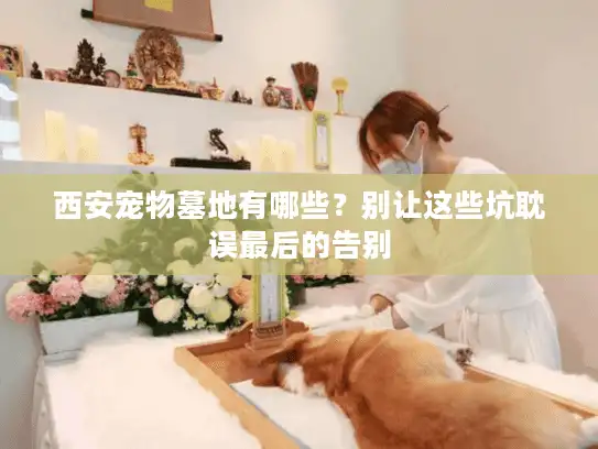 西安宠物墓地有哪些？别让这些坑耽误最后的告别