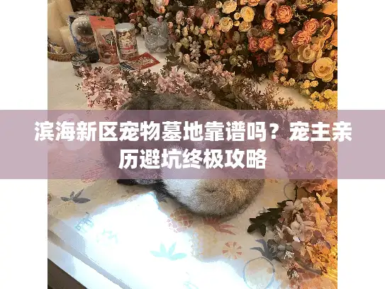 滨海新区宠物墓地靠谱吗？宠主亲历避坑终极攻略