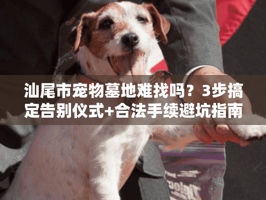 汕尾市宠物墓地难找吗？3步搞定告别仪式+合法手续避坑指南