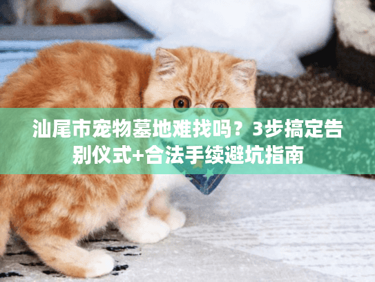 汕尾市宠物墓地难找吗？3步搞定告别仪式+合法手续避坑指南