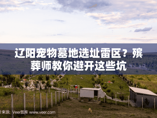 辽阳宠物墓地选址雷区？殡葬师教你避开这些坑