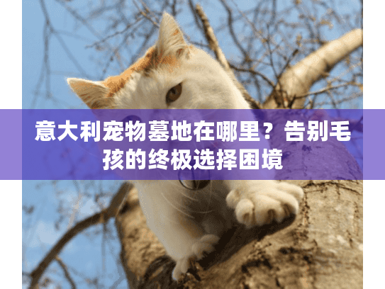 意大利宠物墓地在哪里？告别毛孩的终极选择困境