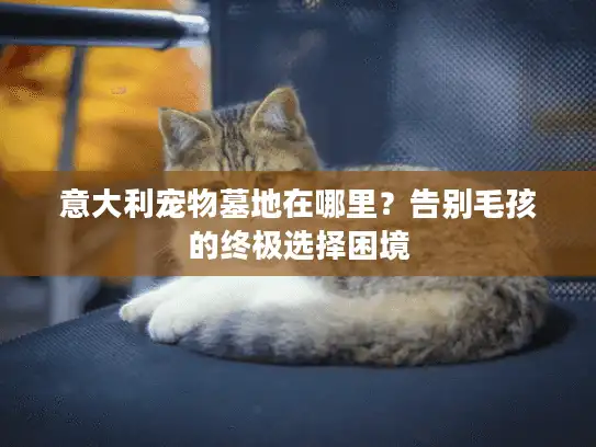 意大利宠物墓地在哪里？告别毛孩的终极选择困境