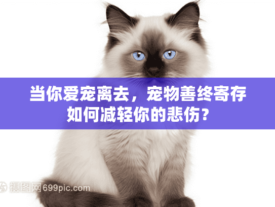 当你爱宠离去，宠物善终寄存如何减轻你的悲伤？