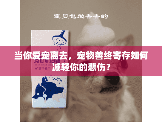 当你爱宠离去，宠物善终寄存如何减轻你的悲伤？