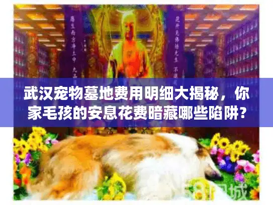 武汉宠物墓地费用明细大揭秘，你家毛孩的安息花费暗藏哪些陷阱？
