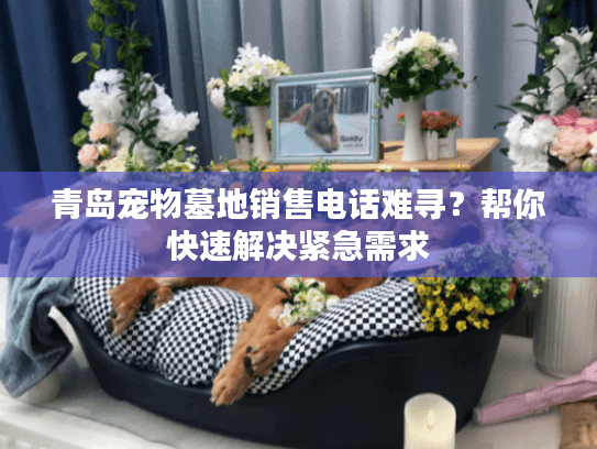青岛宠物墓地销售电话难寻?帮你快速解决紧急需求 青岛宠物墓地销售电话难寻?帮你快速解决紧急需求