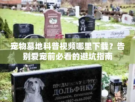 宠物墓地科普视频哪里下载？告别爱宠前必看的避坑指南