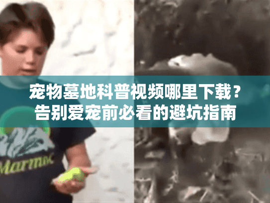 宠物墓地科普视频哪里下载？告别爱宠前必看的避坑指南