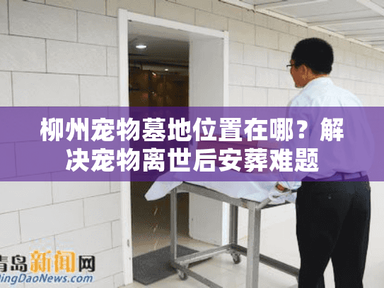 柳州宠物墓地位置在哪?解决宠物离世后安葬难题 柳州宠物墓地位置在哪?解决宠物离世后安葬难题