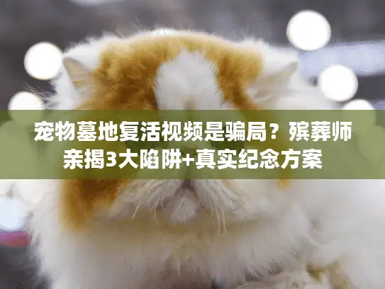 宠物墓地复活视频是骗局？殡葬师亲揭3大陷阱+真实纪念方案