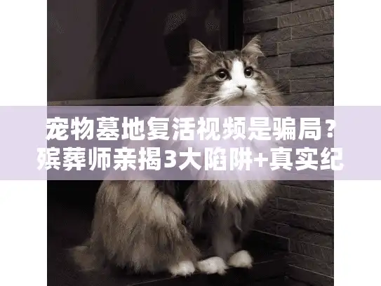 宠物墓地复活视频是骗局？殡葬师亲揭3大陷阱+真实纪念方案