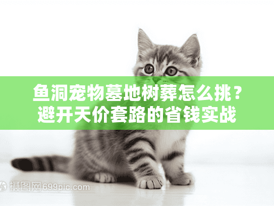 鱼洞宠物墓地树葬怎么挑？避开天价套路的省钱实战