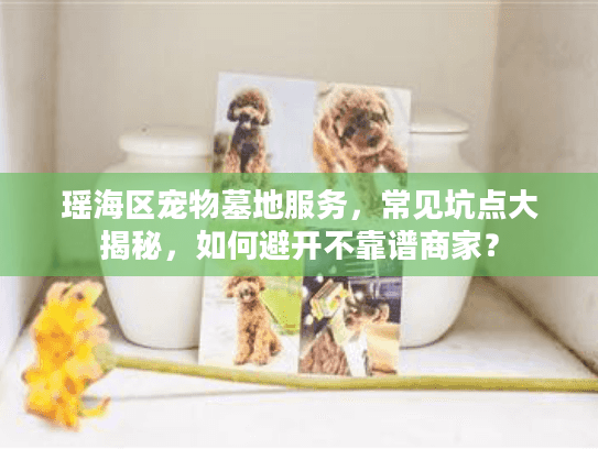 瑶海区宠物墓地服务，常见坑点大揭秘，如何避开不靠谱商家？