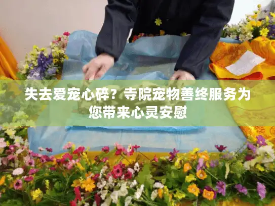 失去爱宠心碎？寺院宠物善终服务为您带来心灵安慰